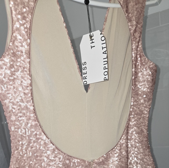 Dress the Population Pink Sleeveless Dress - Picture 5 of 8